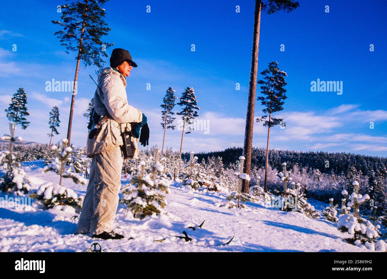 Caccia invernale, Svezia Foto Stock