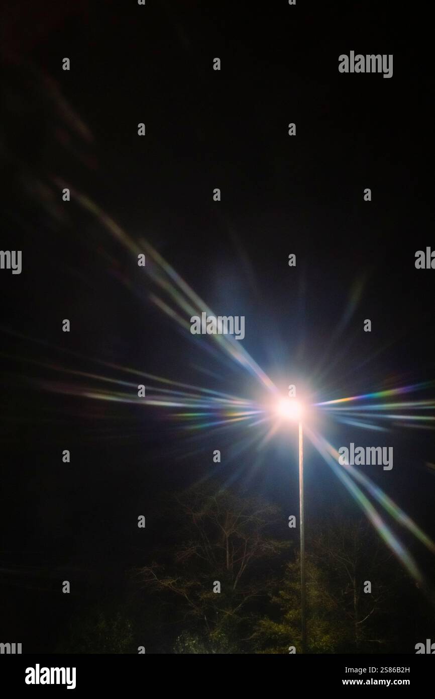 La fitta nebbia di notte lascia il paesaggio urbano con alberi che sembrano spaventosi e luce dai vicini pali che creano travi attraverso la nebbia. Foto Stock