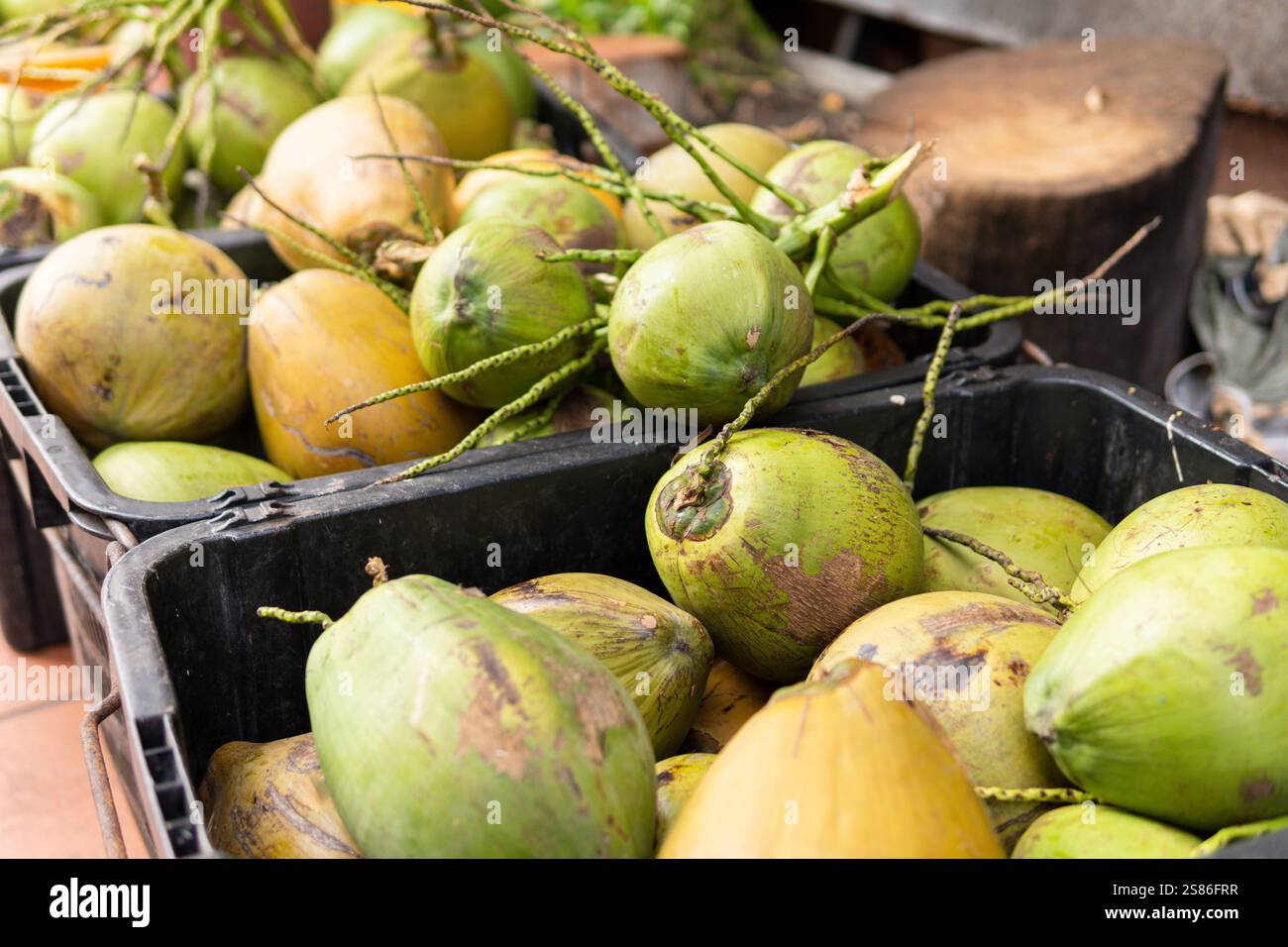 Noci di cocco verdi vendute al tradizionale mercato del cibo di strada nella città di Malacca, Malesia Foto Stock