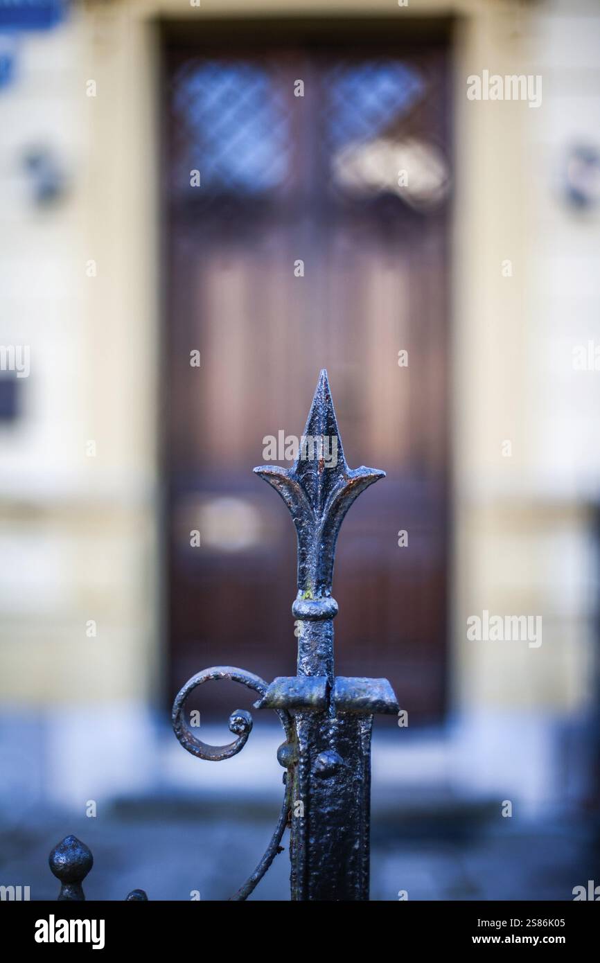 Lavori artistici in ferro battuto, dettaglio di una recinzione, Leoben, Stiria, Austria, Europa Foto Stock