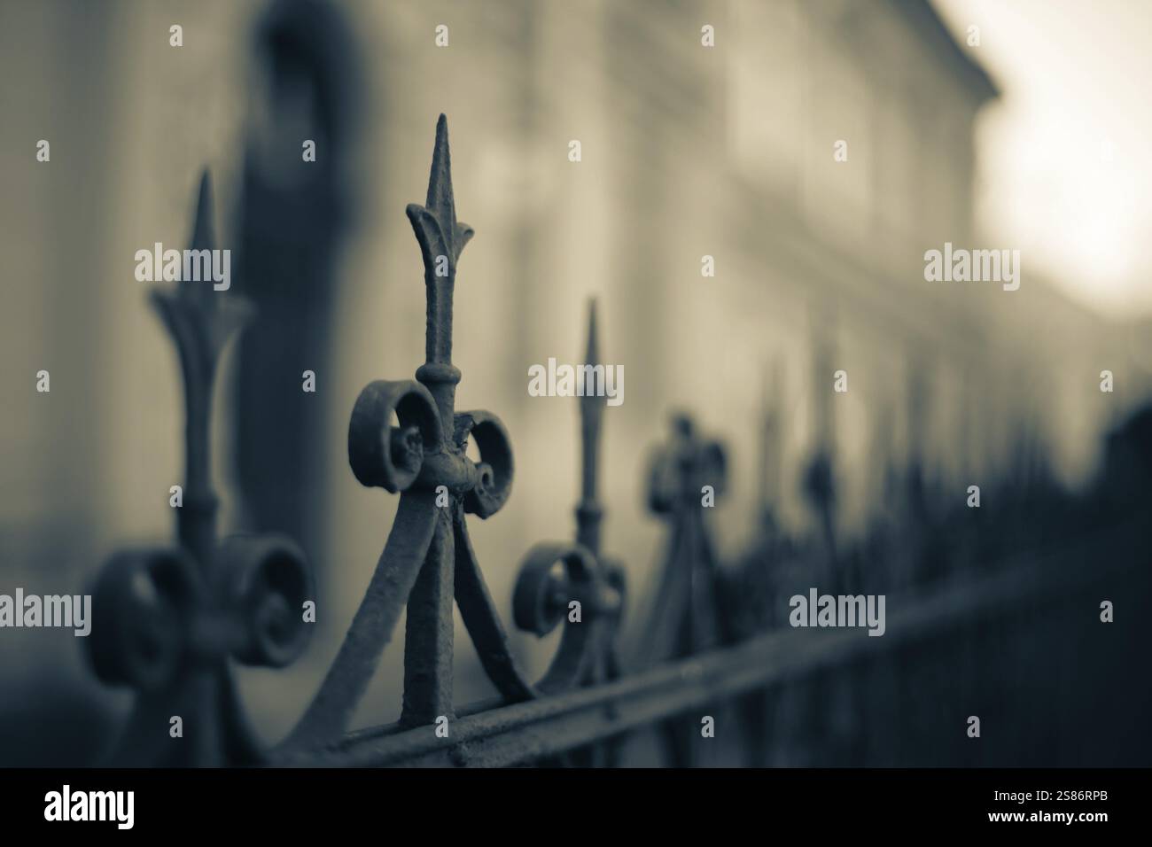 Lavori artistici in ferro battuto, dettaglio di una recinzione, Leoben, Stiria, Austria, Europa Foto Stock