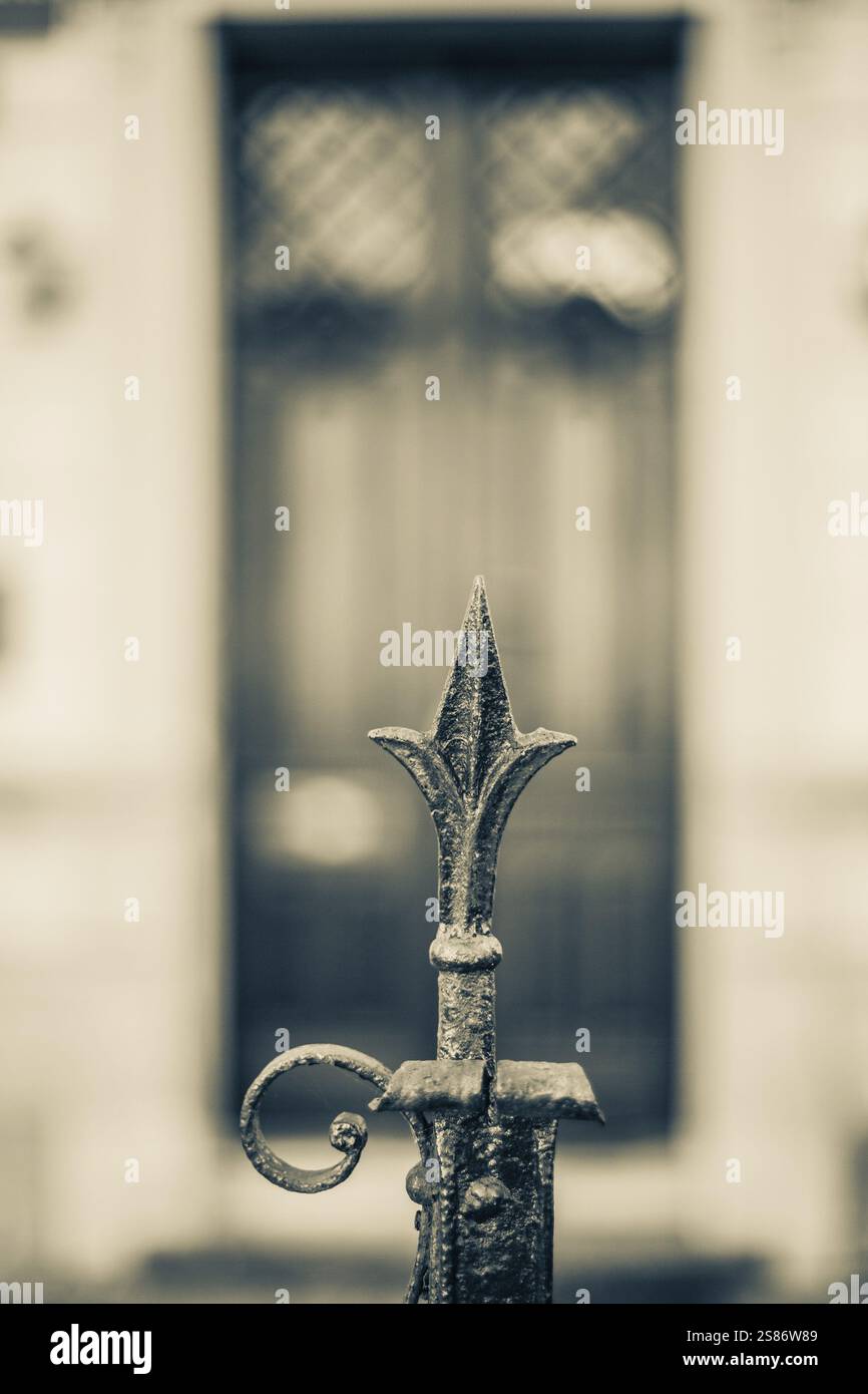 Lavori artistici in ferro battuto, dettaglio di una recinzione, Leoben, Stiria, Austria, Europa Foto Stock