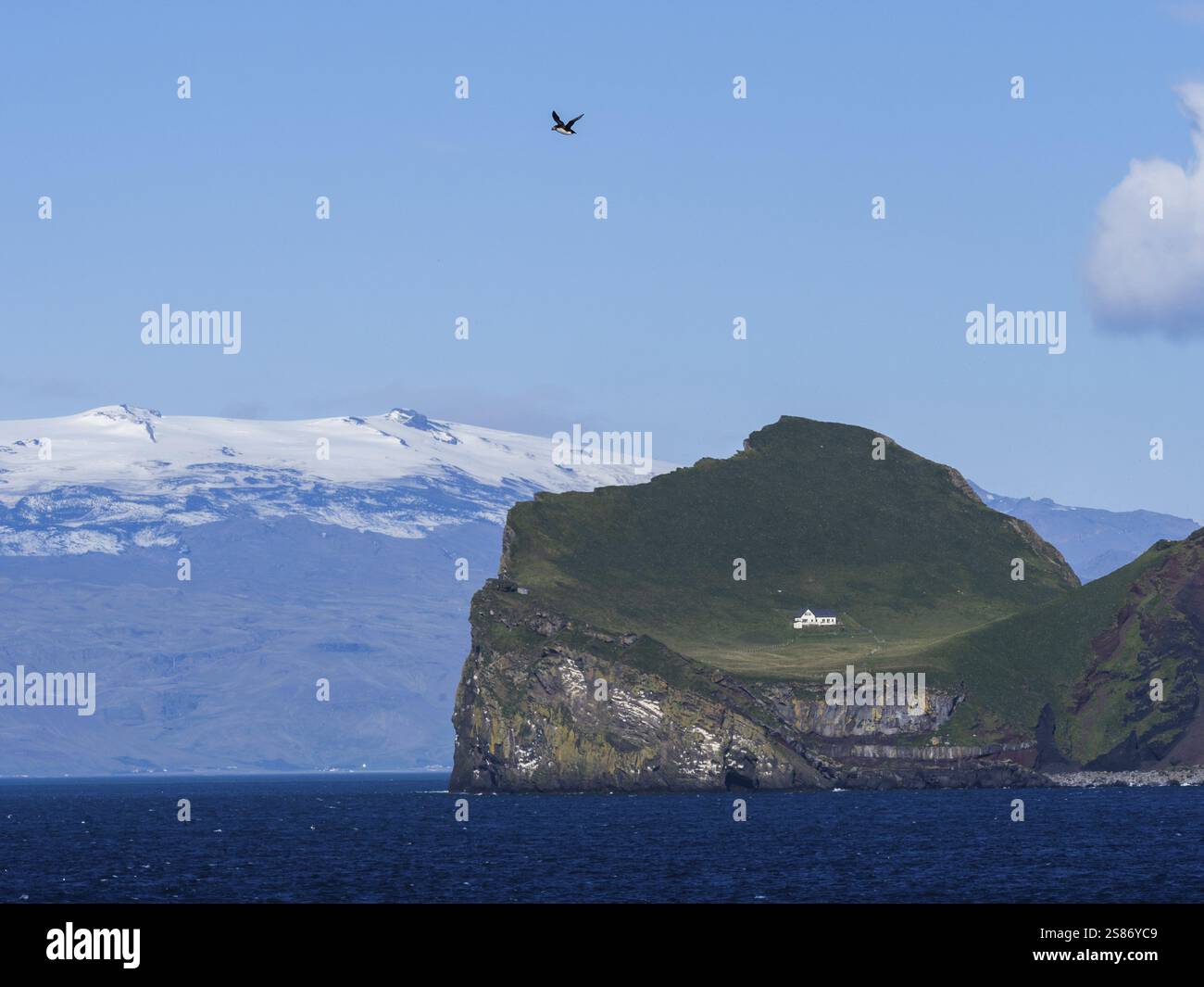 Puffin, casa solitaria sull'isola di ElliÃ°aey, isola delle Isole Westman, sullo sfondo della terraferma con il ghiacciaio Eyjafjallajoekull, ghiaccio Foto Stock