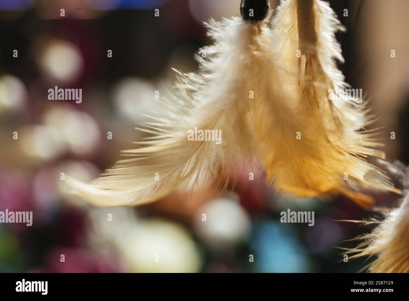 Bellissimo uccello variopinto piume per scopi decorativi Foto Stock