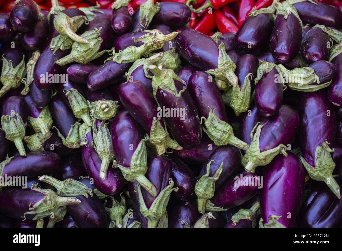 Melanzane di ortaggi freschi, melanzane sul mercato agricolo agricolo agricolo Foto Stock