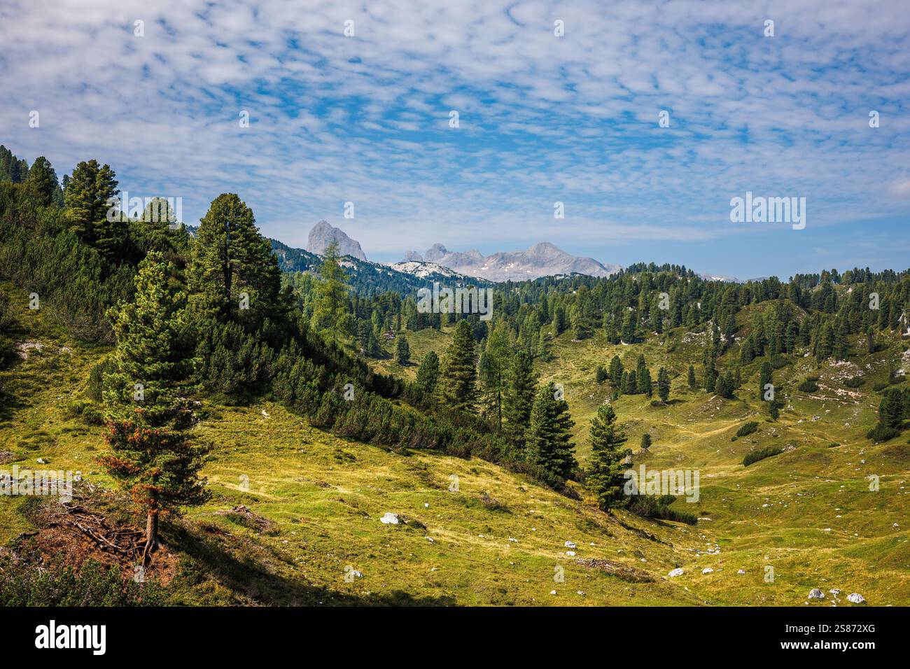 Alpi europee in Stiria, Austria. Paesaggio con pascolo e maestose montagne di Dachstein sullo sfondo. Destinazione estiva per escursioni Foto Stock