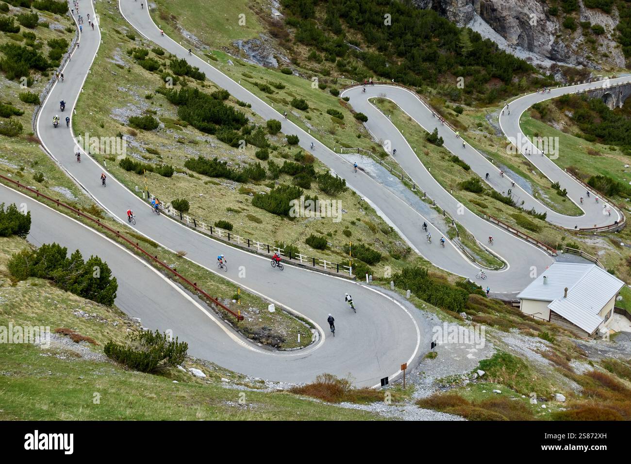 Gran Fondo Stelvio Foto Stock