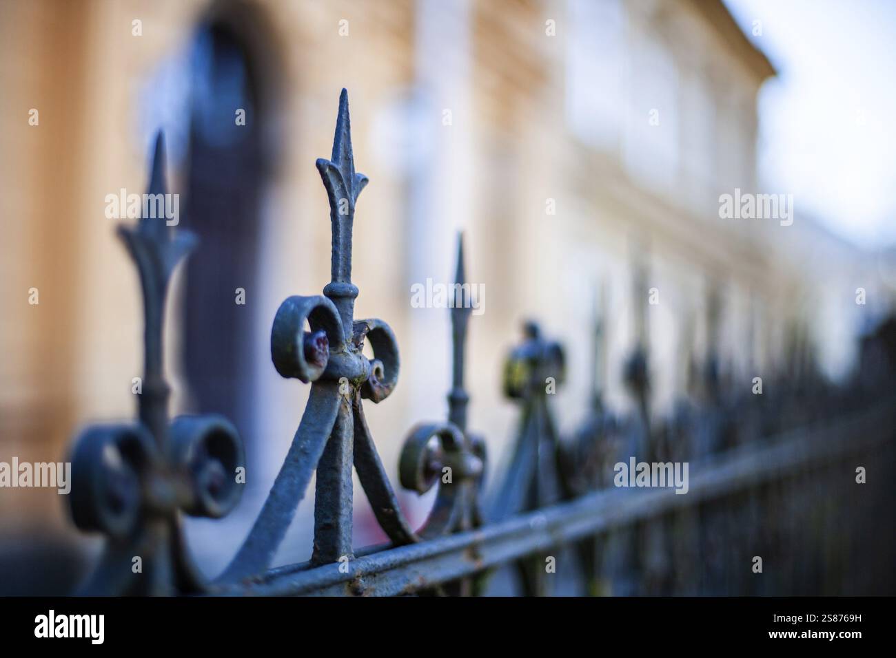 Lavori artistici in ferro battuto, dettaglio di una recinzione, Leoben, Stiria, Austria, Europa Foto Stock