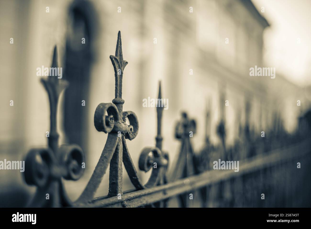 Lavori artistici in ferro battuto, dettaglio di una recinzione, Leoben, Stiria, Austria, Europa Foto Stock