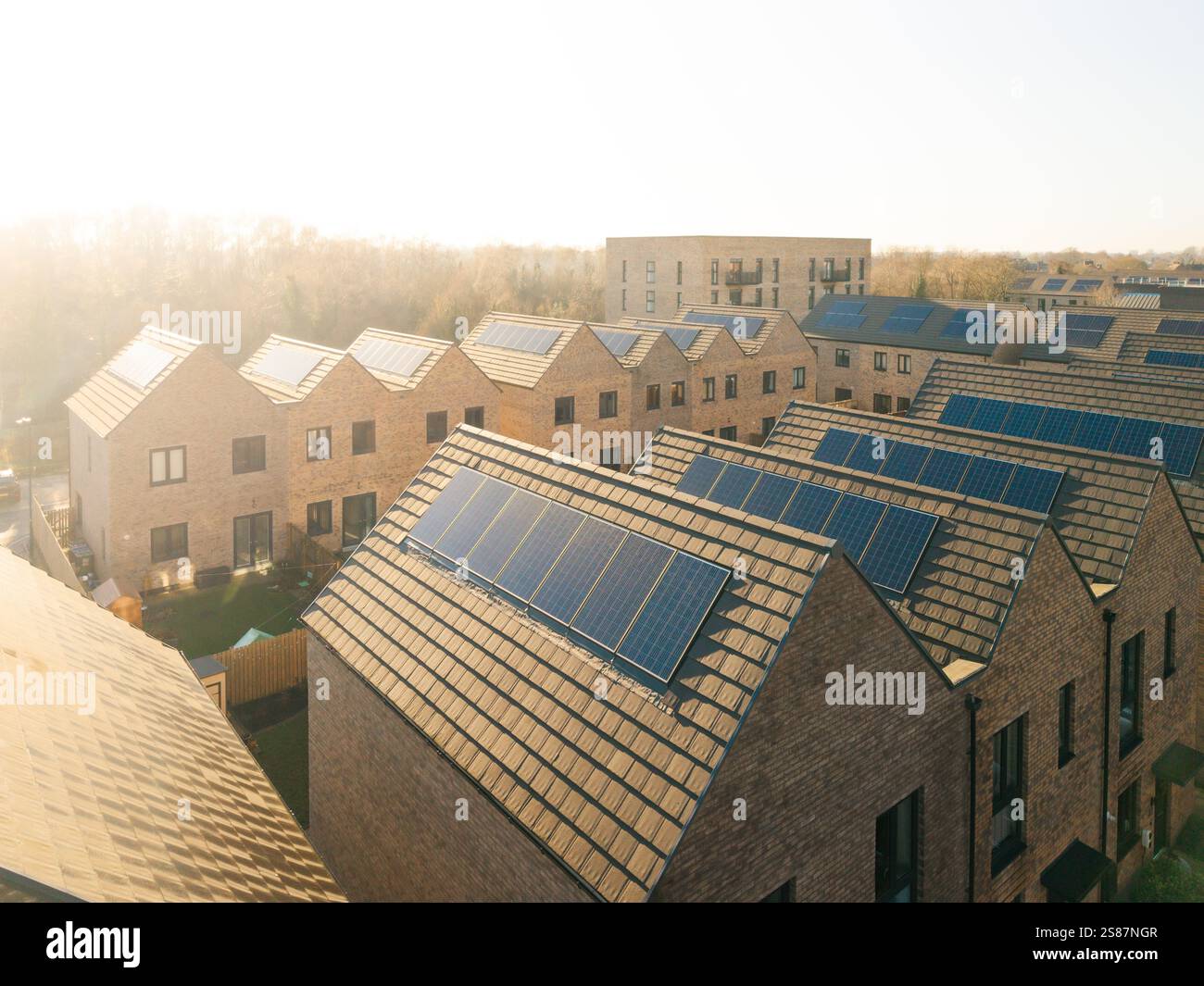 Il tetto di una fila di case di nuova costruzione in un cantiere con tetto integrato o pannelli solari a tetto per un'energia economica e sostenibile in un ambiente moderno, Foto Stock
