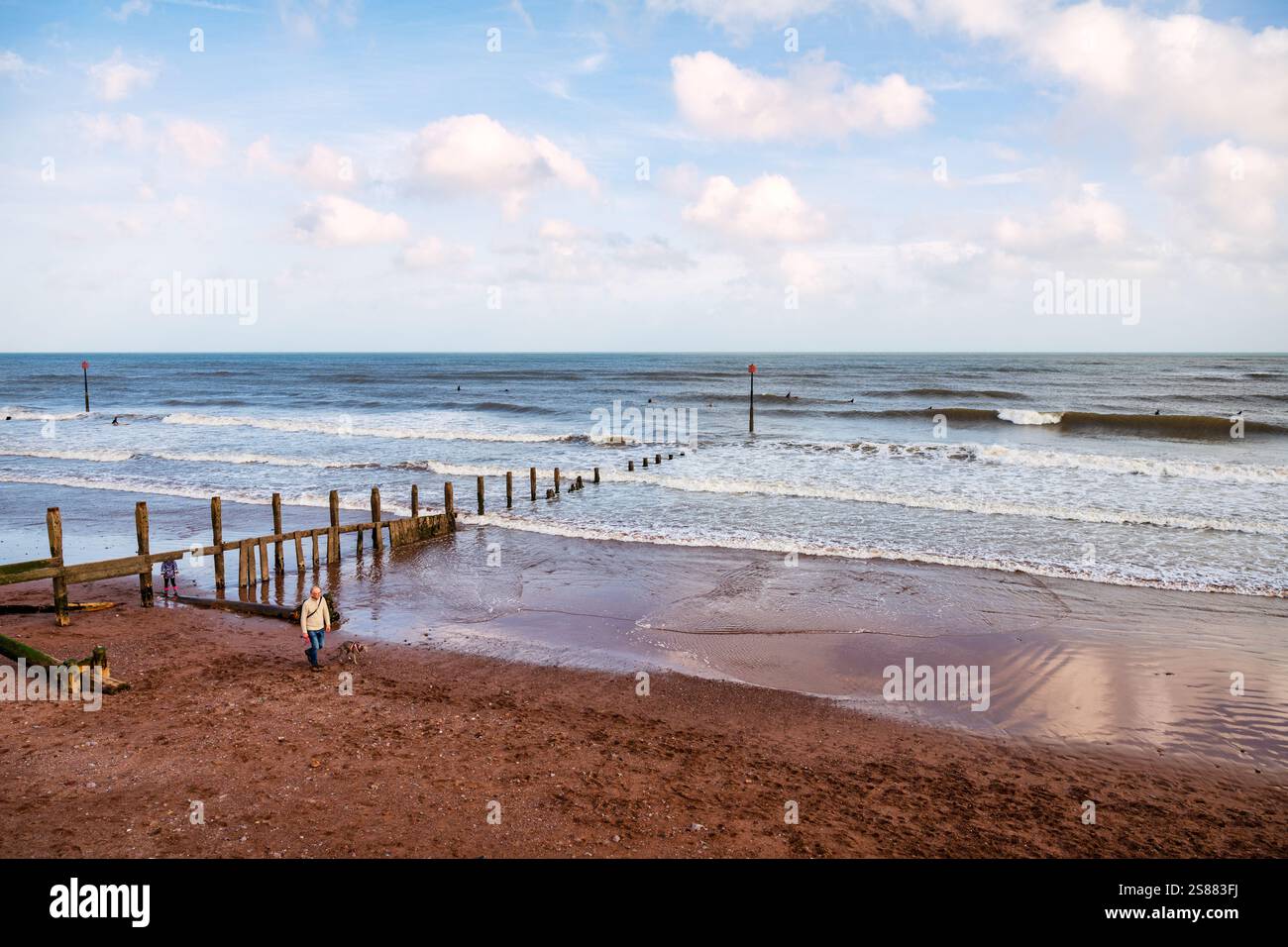 Camminatore di cani e surfisti alla spiaggia di Teignmouth, vista dalla Promenade, Teignmouth, Devon, Inghilterra, Regno Unito. Foto Stock