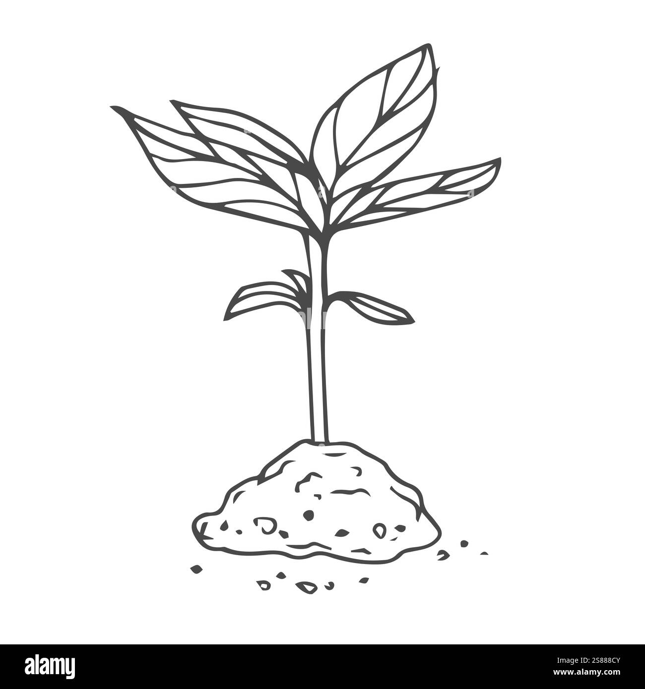 Sprout in stile schizzo. Piantine da giardino, vettoriali Illustrazione Vettoriale