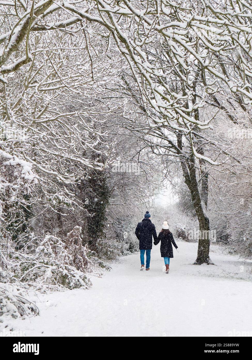 In un tranquillo ambiente invernale nello Yorkshire, un paio di passeggiate in lontananza, mano nella mano lungo un sentiero innevato circondato da alberi. Foto Stock