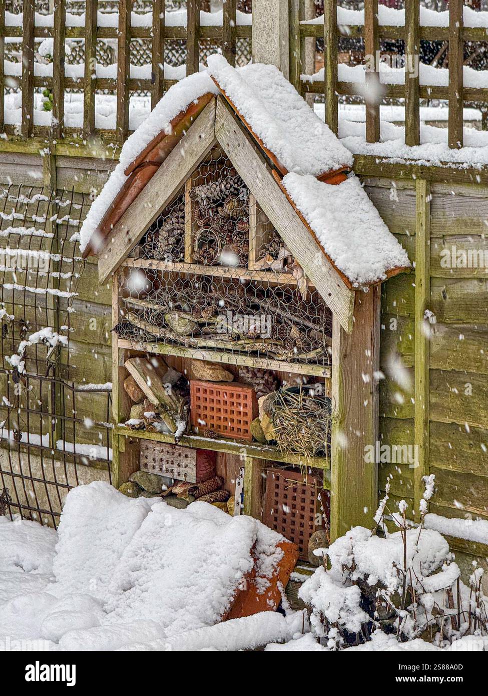 Hotel con cimice coperto da neve in un giardino di York. Foto Stock