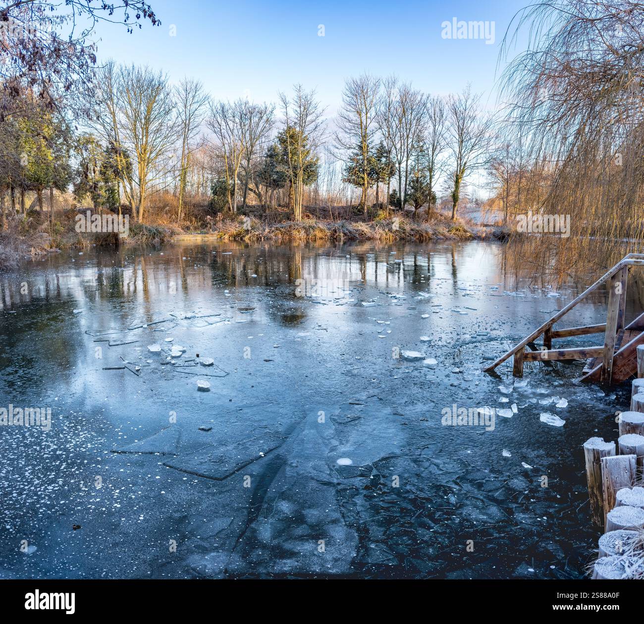 L'inverno presso la Pool Bridge Farm rivela un laghetto ghiacciato, creando un ambiente sereno per gli appassionati di nuoto all'aperto nel clima freddo dello Yorkshire. Foto Stock