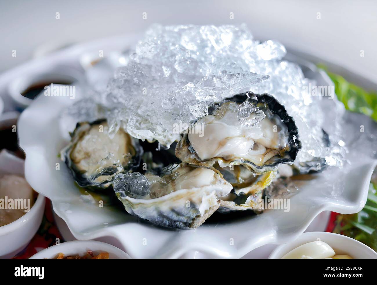 Ostriche fresche su un guscio di ghiaccio con spicchi di lime e altri contorni, speziato stile thailandese, piatti di pesce dal mare, cibo locale Foto Stock