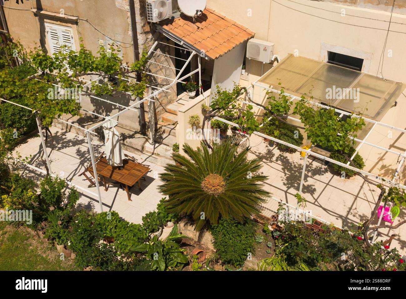 Vista su un giardino, dal tour a piedi delle mura della città vecchia di Dubrovnik, con una splendida palma sago, un cad di palme o una palma funebre giapponese che offre una caratteristica nel giardino. Croazia. (138) Foto Stock