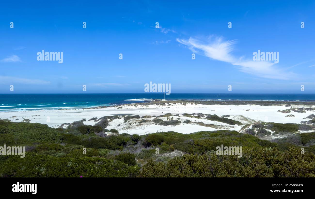 Spiaggia di sabbia bianca con dune di sabbia e vegetazione verde vicino a città del Capo, Sud Africa. Morbide onde oceaniche e cielo azzurro Foto Stock