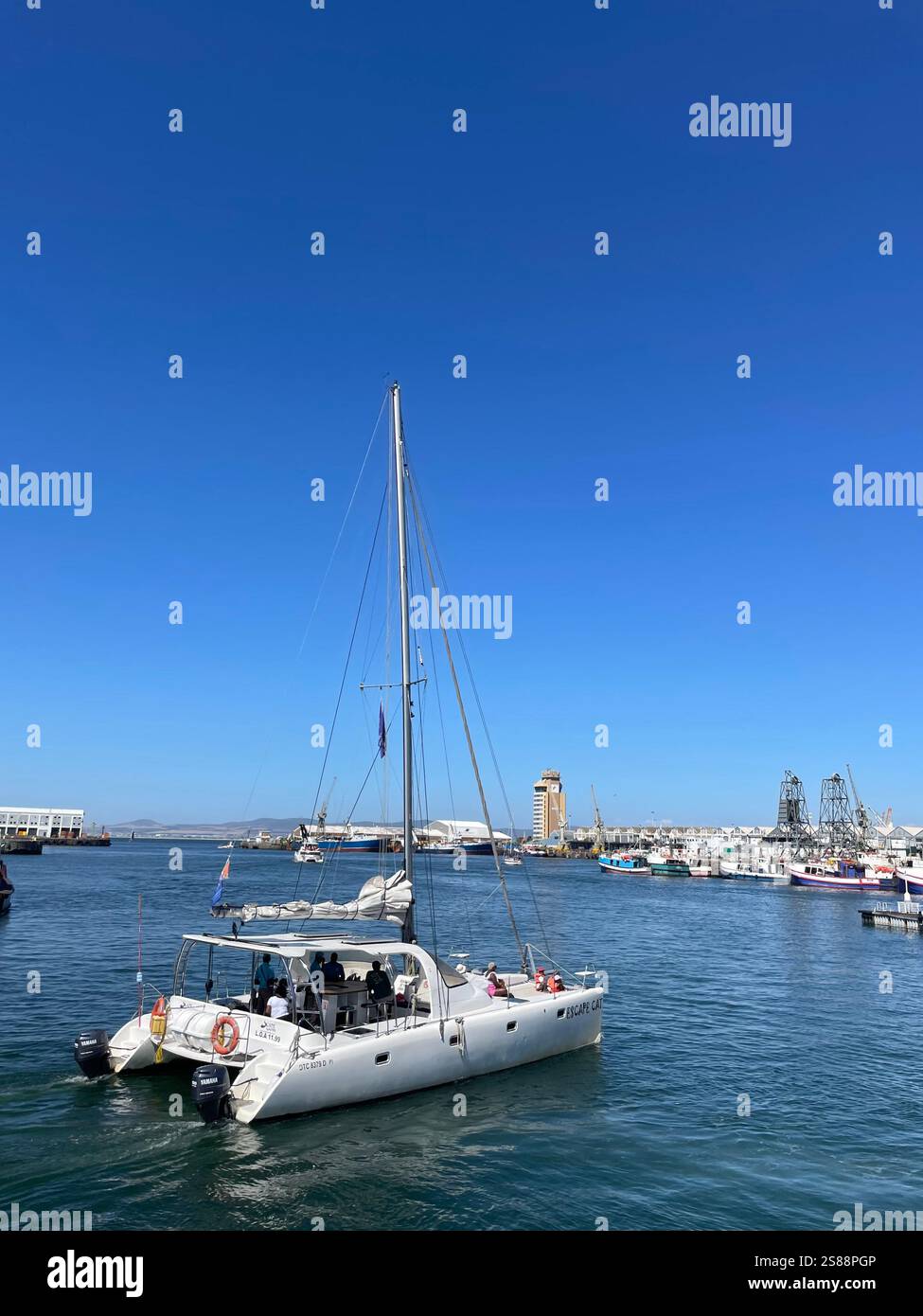 Catamarano che parte dal porto di Table Bay sul lungomare di città del Capo per un viaggio durante il turismo estivo in Sudafrica Foto Stock