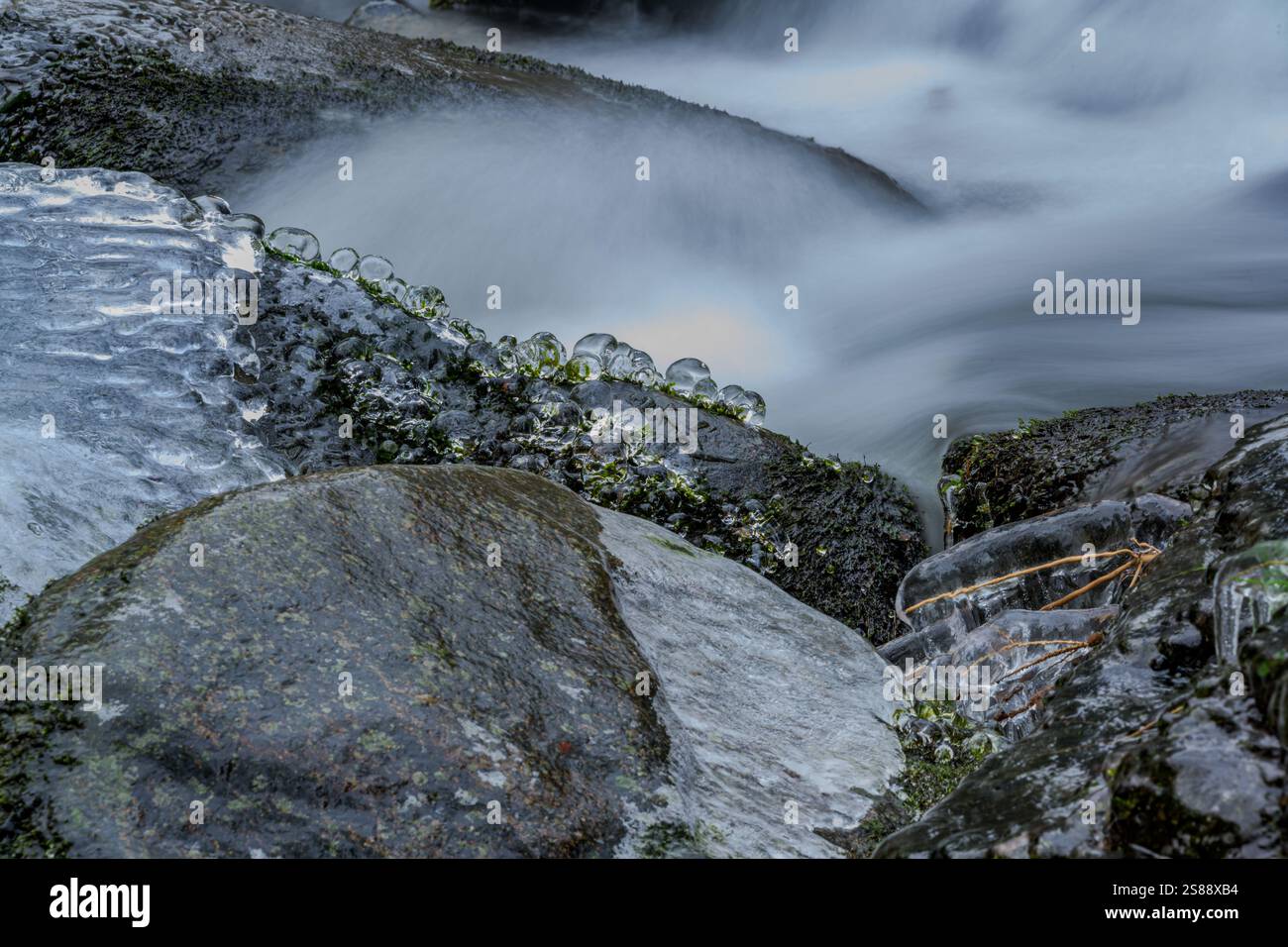 Rocce ricoperte di ghiaccio in un piccolo torrente della foresta Foto Stock