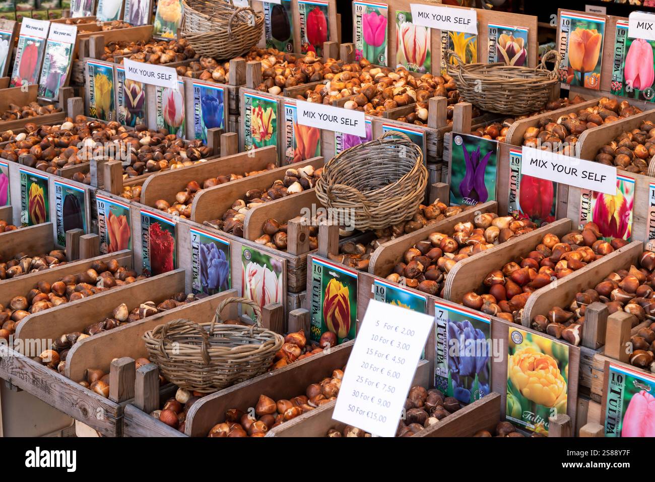Bulbi di tulipano in cassette di legno con prezzi di vendita al mercato galleggiante dei fiori ad Amsterdam. Foto Stock