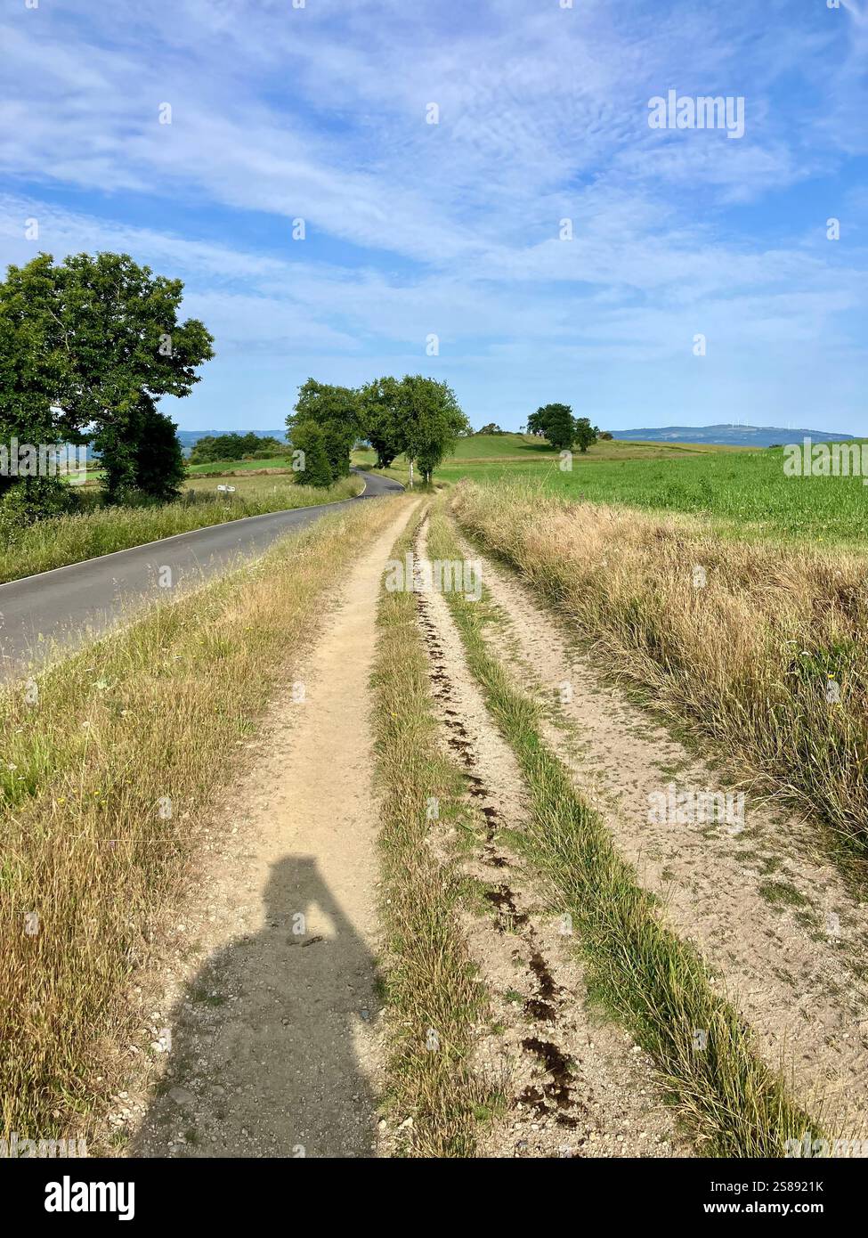 Pellegrino che attraversa la Meseta spagnola tra Burgos e Léon sul cammino Francés in Spagna Foto Stock