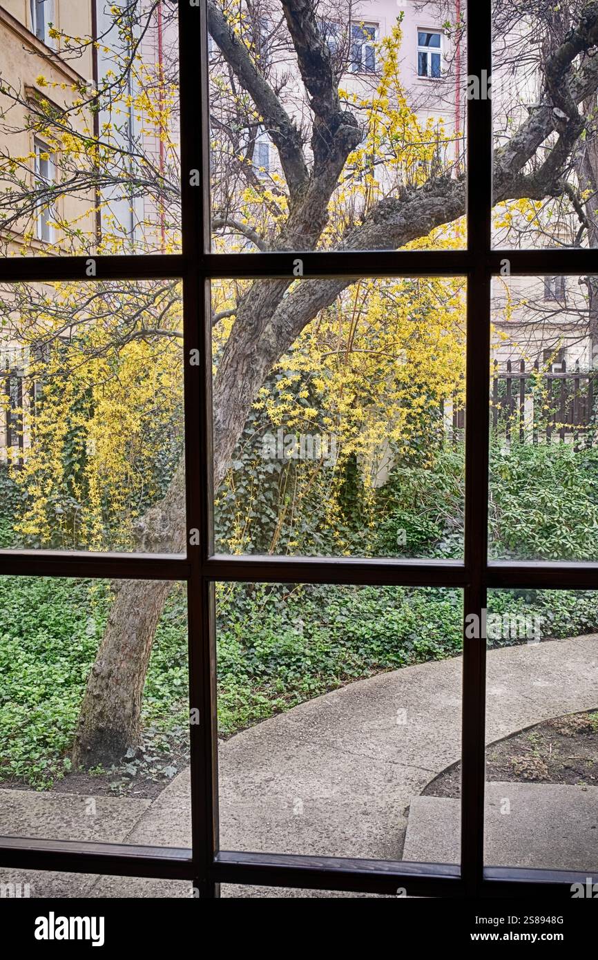 Una vista di un sentiero che conduce attraverso un piccolo giardino visto dalla finestra di uno storico studio fotografico a Praga. Foto Stock