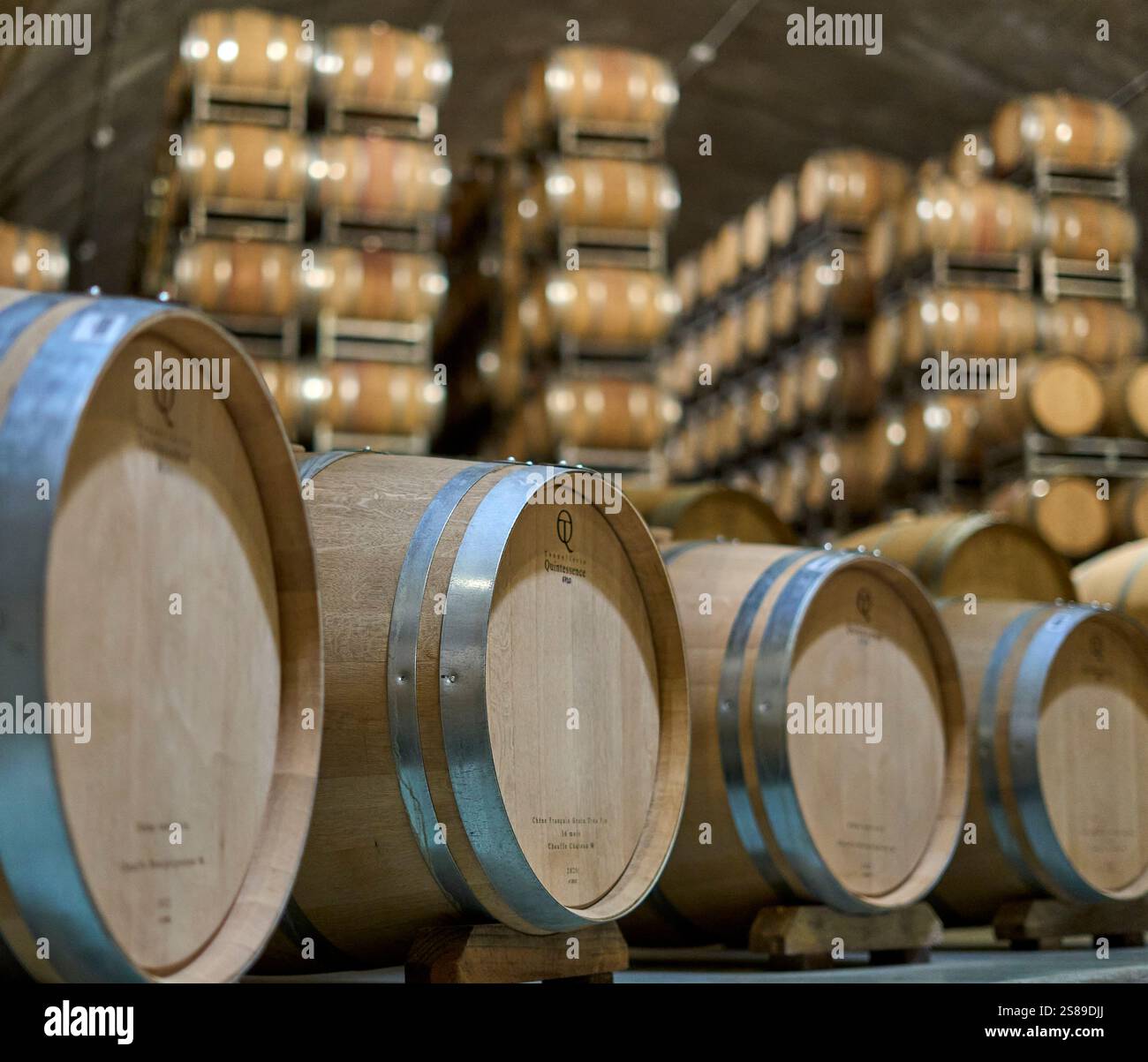 Mendoza, Argentina. 03-10-2020. Barricas, Bodega, vino, botti, Cantina, vino Foto Stock