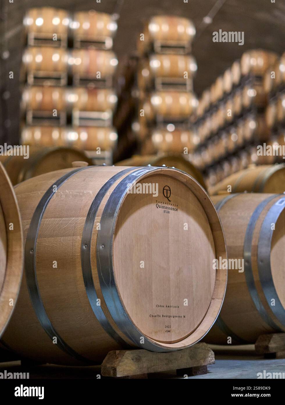 Mendoza, Argentina. 03-10-2020. Barricas, Bodega, vino, botti, Cantina, vino Foto Stock