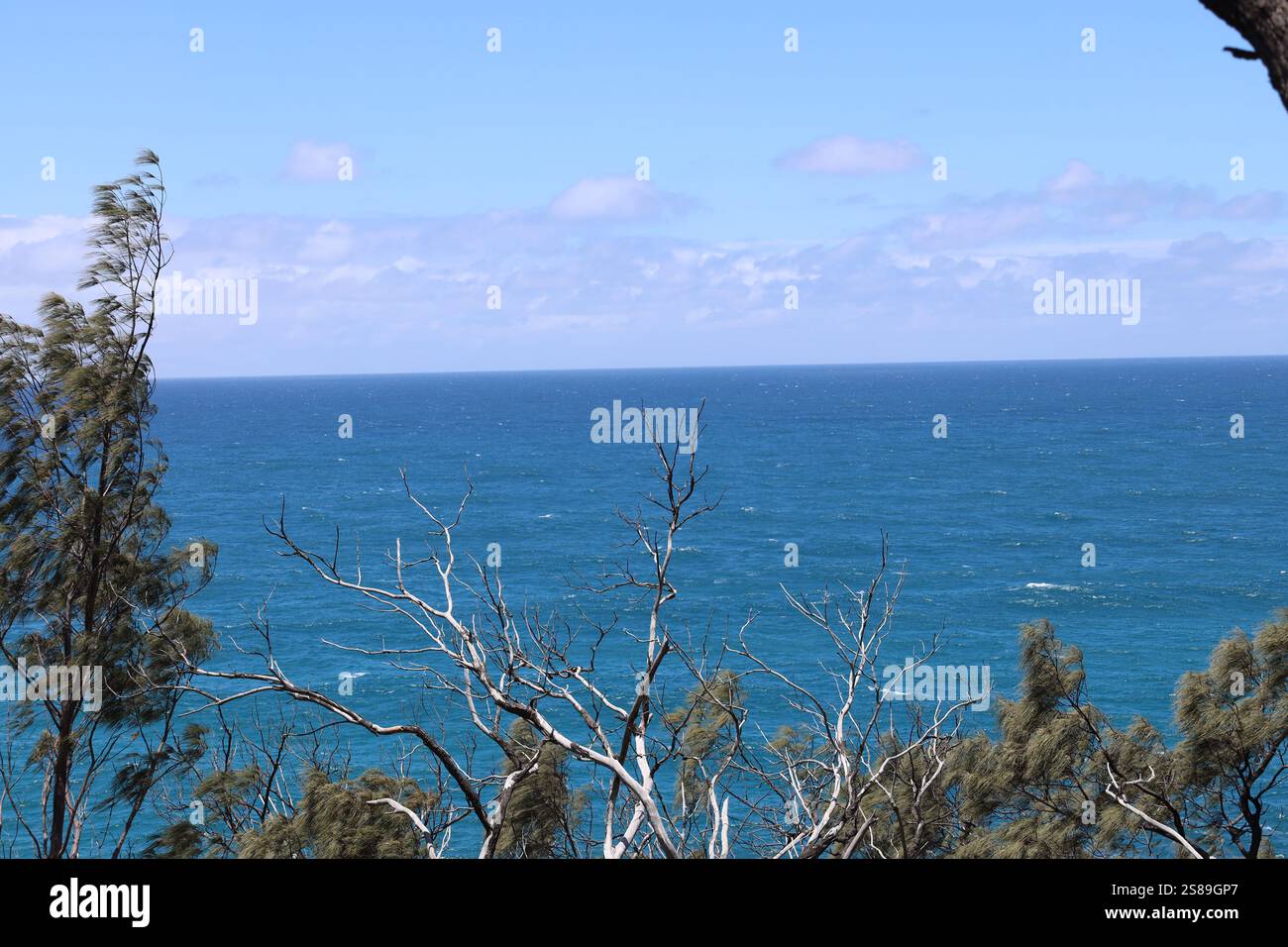 cielo azzurro, mare azzurro profondo e pennello lungo il litorale Foto Stock