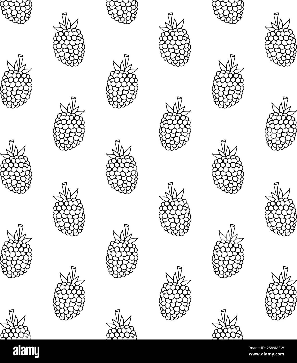 Schema vettoriale senza cuciture di schizzi disegnati a mano blackberry isolato su sfondo bianco Illustrazione Vettoriale