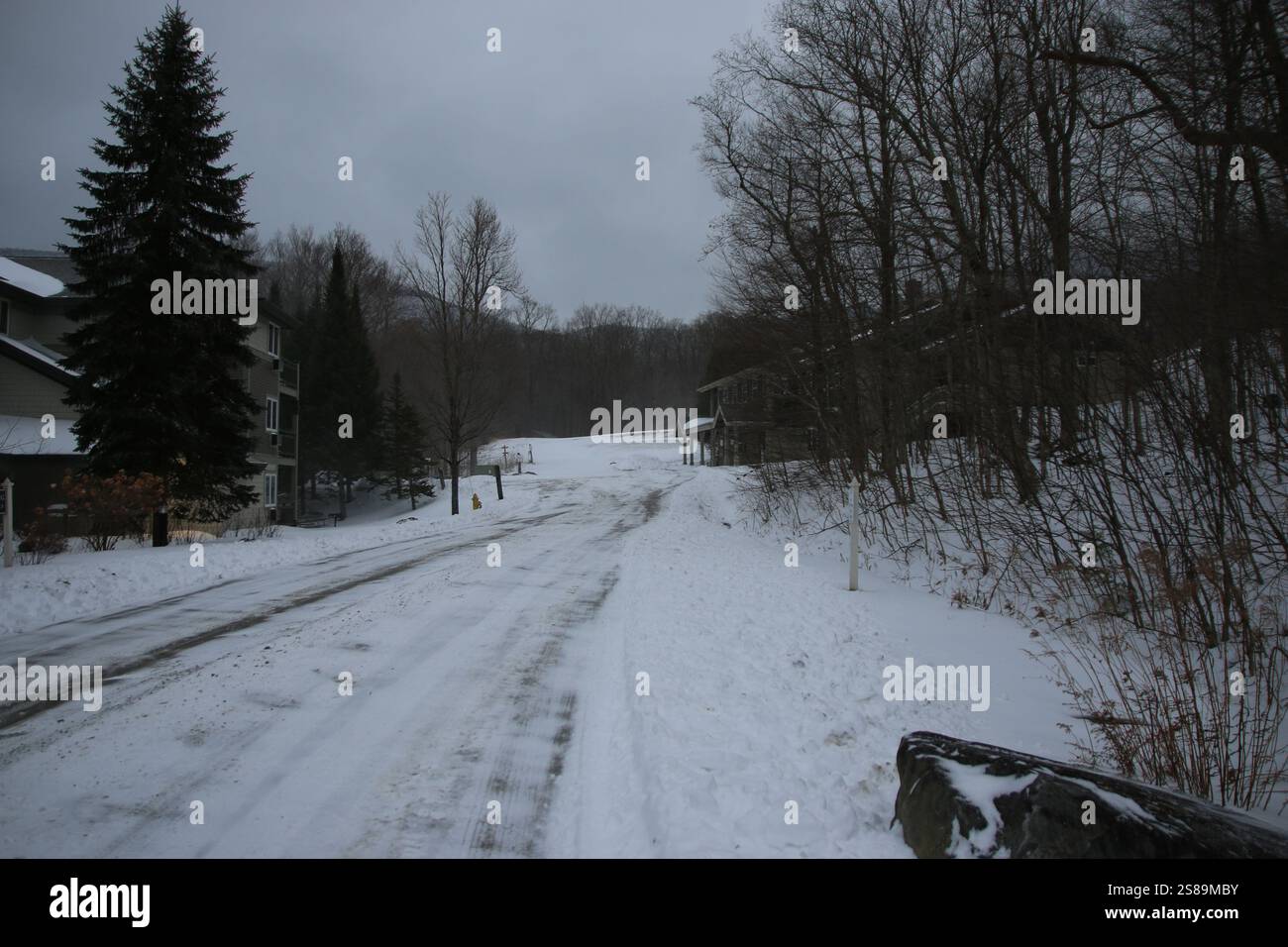 Una strada innevata conduce attraverso un tranquillo quartiere residenziale circondato da alberi in inverno. Foto Stock