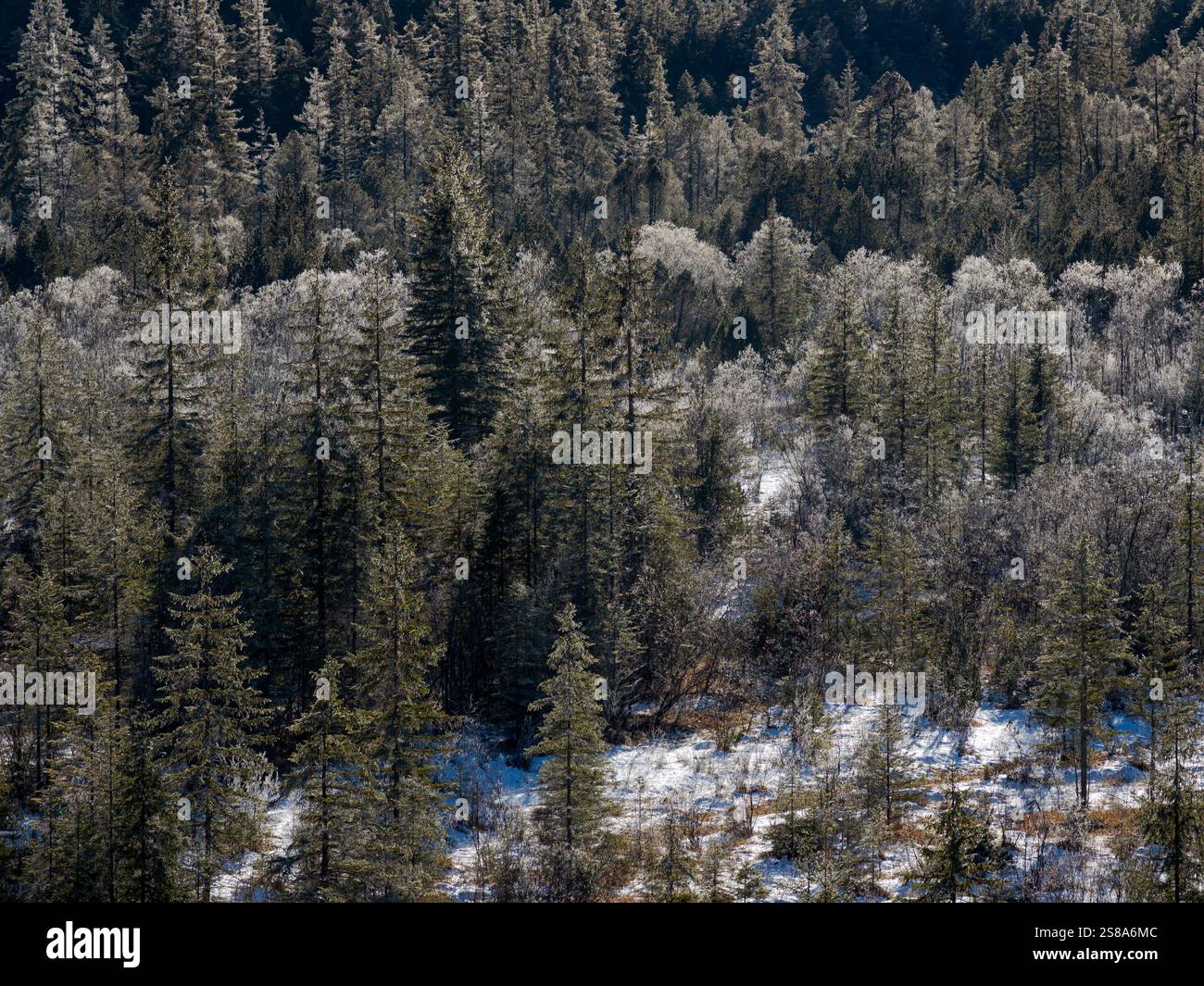 Il fiume Isar tra Vorderriss e Wallgau nella catena montuosa del Karwendel. Alpi tedesche. Germania, Baviera. Foto Stock