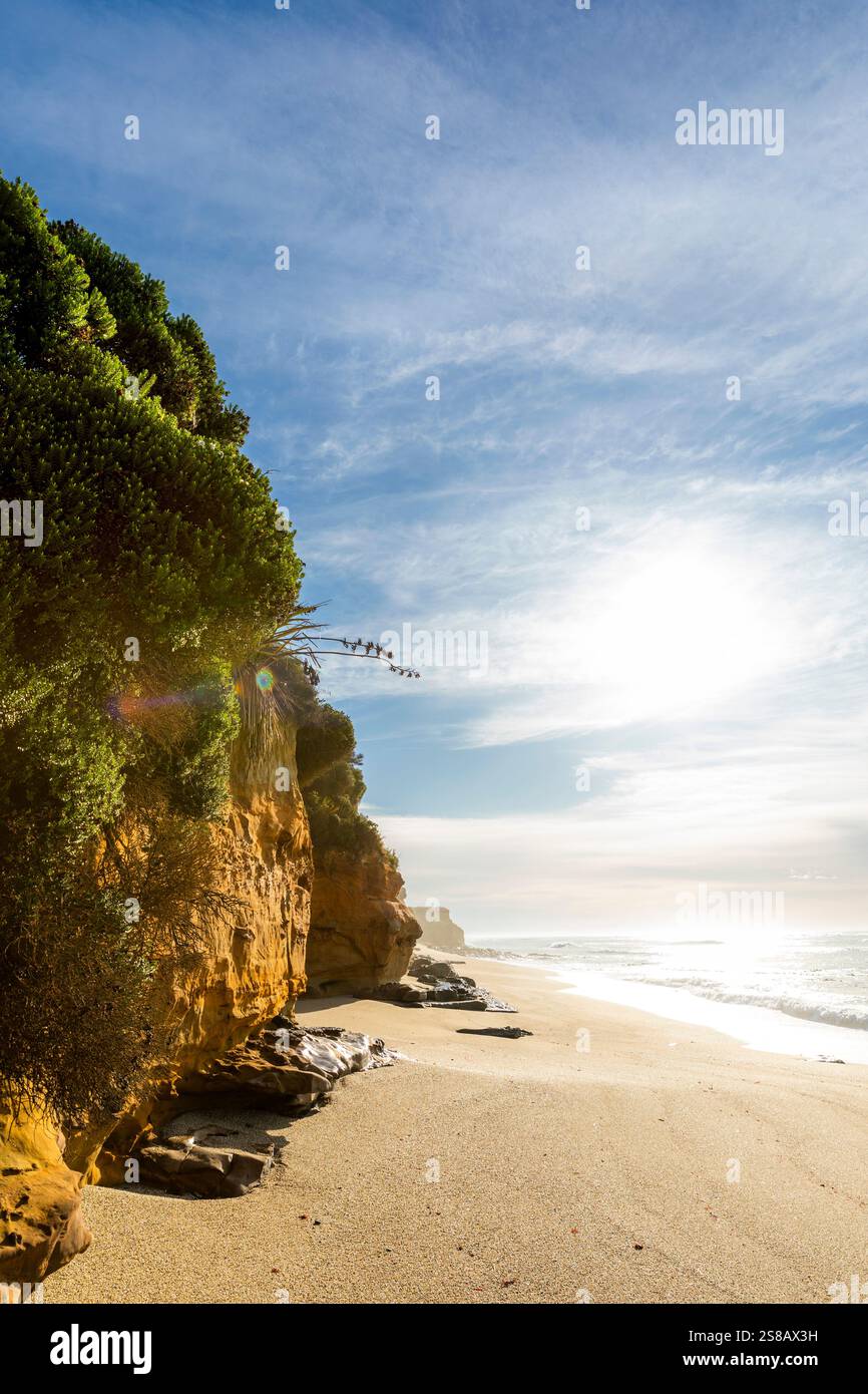 Mitchell Rocks, regione di Otago, nuova Zelanda Foto Stock