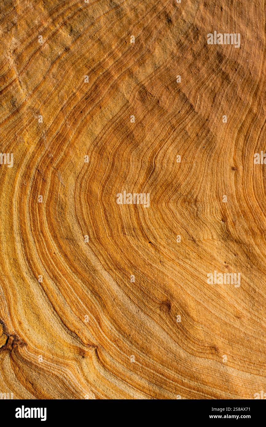 Linee fluide di arenaria stratificata o laminata, Mitchell Rocks, regione di Otago, nuova Zelanda Foto Stock