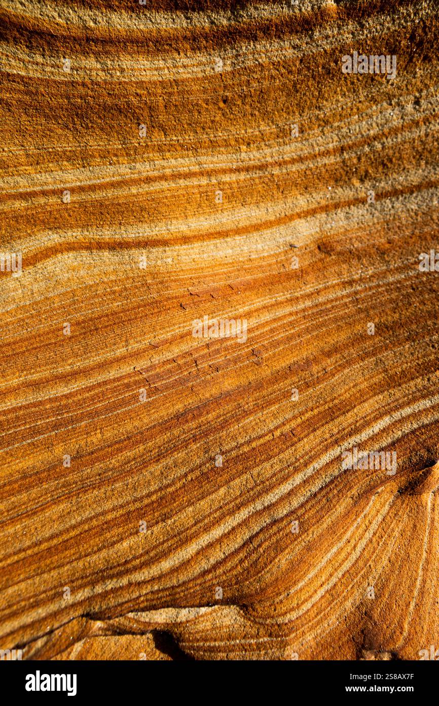 Linee fluide di arenaria stratificata o laminata, Mitchell Rocks, regione di Otago, nuova Zelanda Foto Stock