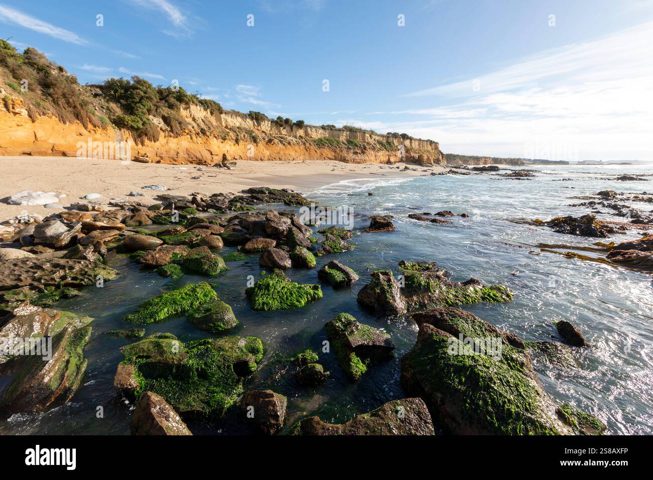 Mitchell Rocks, regione di Otago, nuova Zelanda Foto Stock