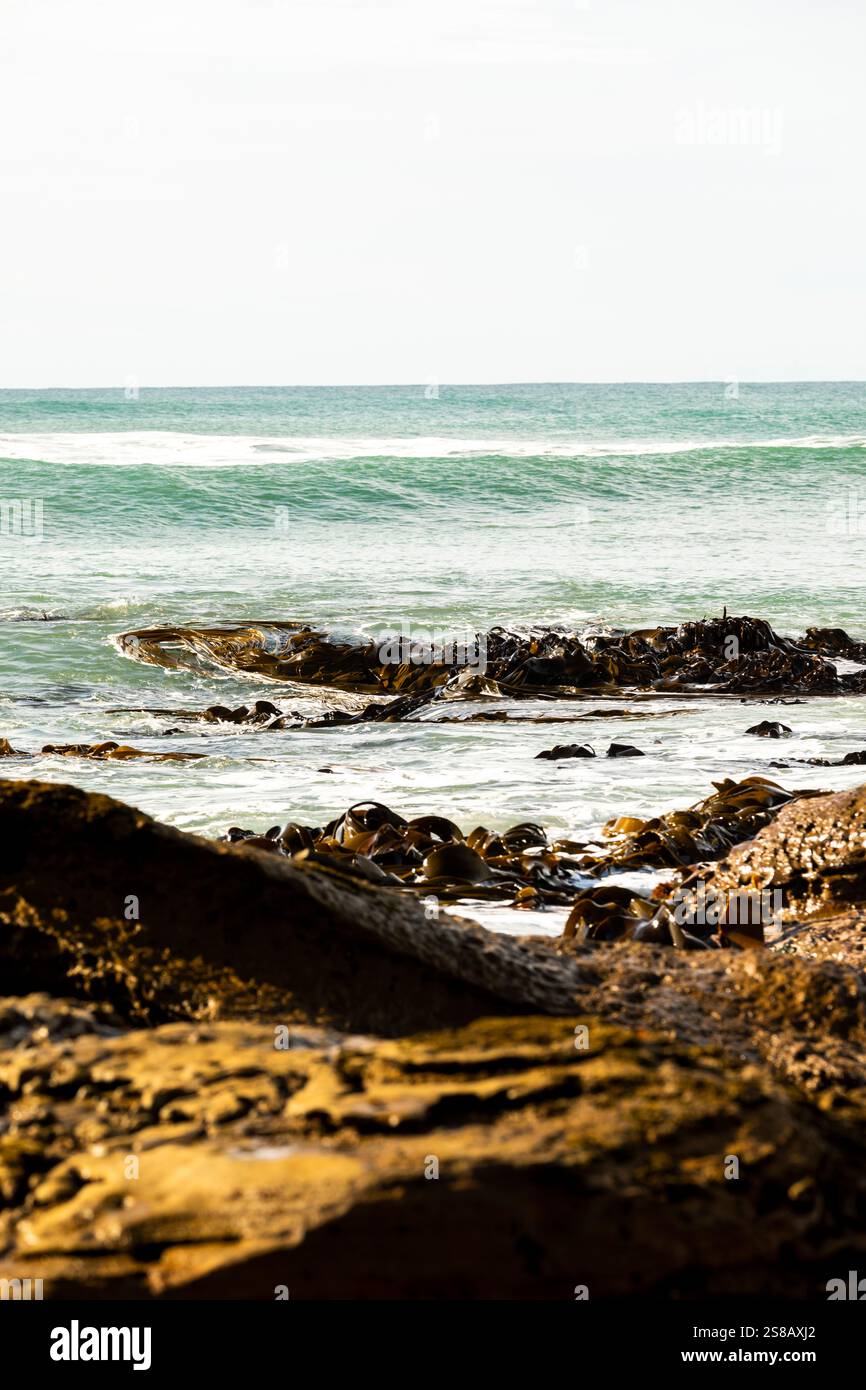 Mitchell Rocks, regione di Otago, nuova Zelanda Foto Stock