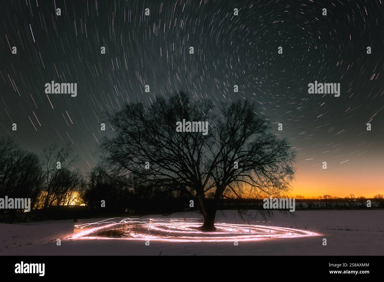 Un olmo americano solitario con percorsi stellari intorno a Polaris. Sotto l'albero ci sono spirali di luce. La neve pesante copre il terreno con un orizzonte arancione. Foto Stock