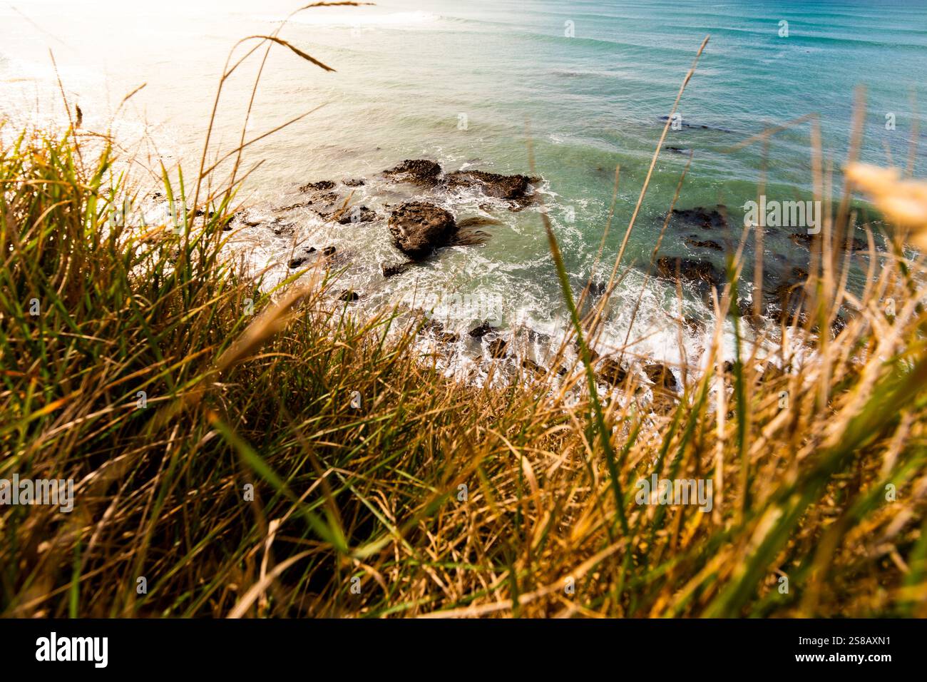 Mitchell Rocks, regione di Otago, nuova Zelanda Foto Stock