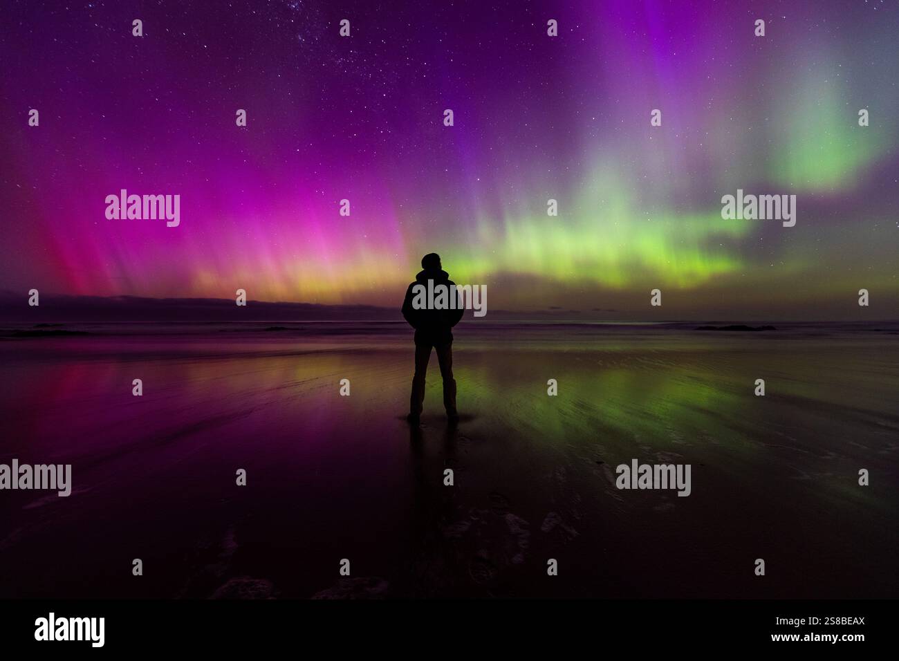 La splendida aurora australe (aurora australis) mette in mostra Dunedin, regione di Otago, nuova Zelanda. Foto Stock