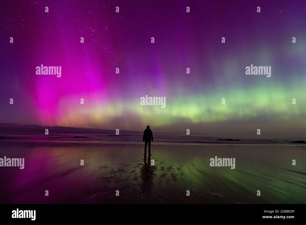 La splendida aurora australe (aurora australis) mette in mostra Dunedin, regione di Otago, nuova Zelanda. Foto Stock