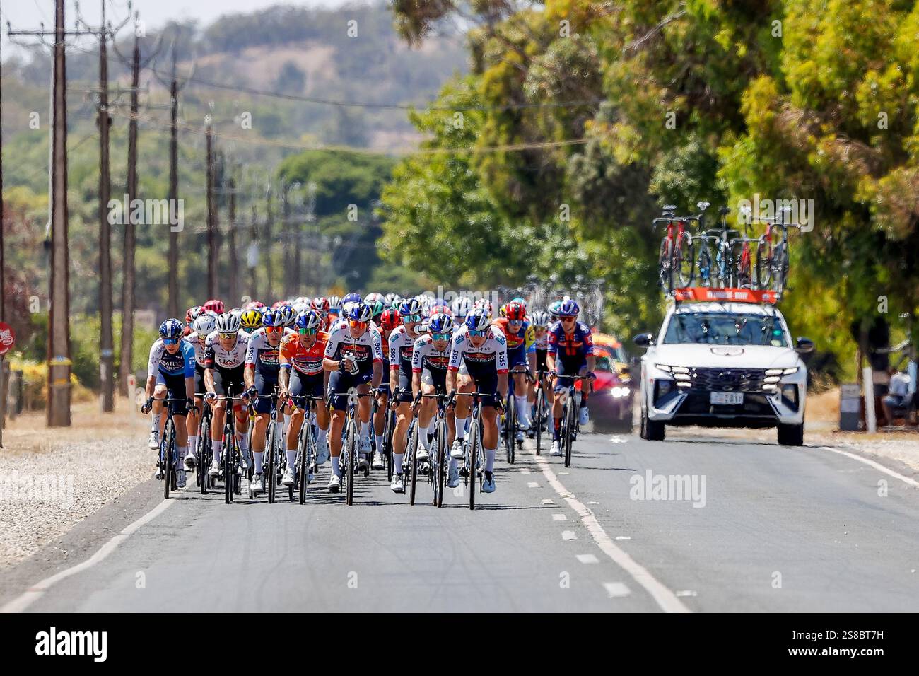 2025 Tour Down Under, Stage Two Tanunda, Australia del Sud, Australia The Peloton che insegue il gruppo break-away su Angaston Road. Credito; Mark Willoughby/ALAMY Live News Foto Stock