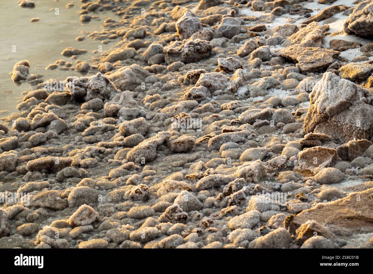 Depositi di sale e formazioni rocciose lungo la costa di un corpo d'acqua che riflette la luce dorata Foto Stock