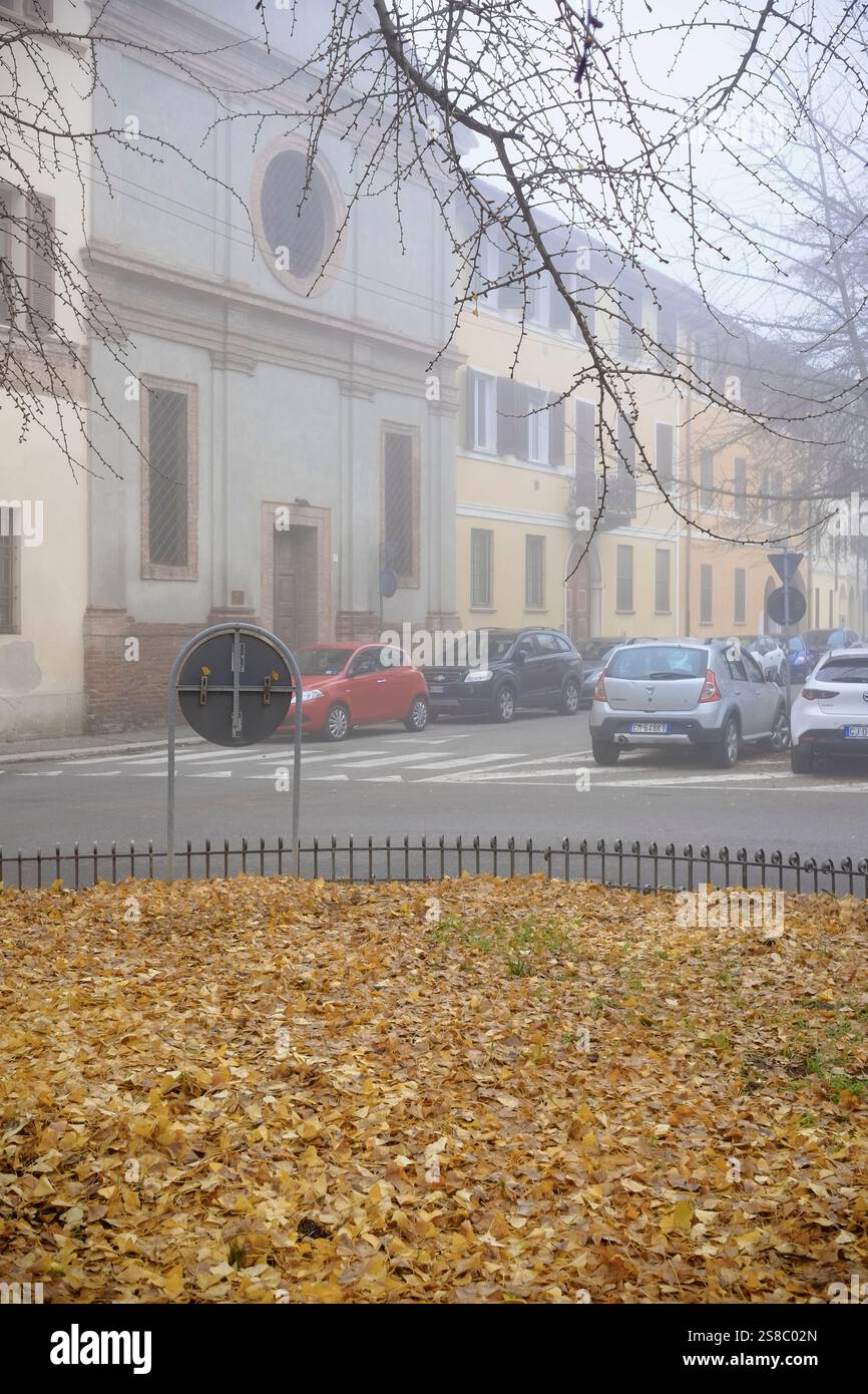Cremona, Italia - 15 gennaio 2025 Fiat 500 rossa e Stepway Dacia Sandero grigia parcheggiate in una strada nebbiosa in autunno, con foglie di ginkgo cadute nel fo Foto Stock