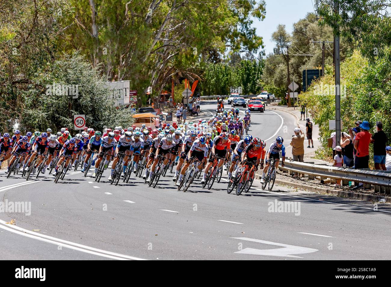2025 Tour Down Under, Stage Two Tanunda, Australia del Sud, Australia il Peloton lascia la township di Tanunda lungo Murray Street, mentre si dirigono verso Bethany. Credito; Mark Willoughby/ALAMY Live News Foto Stock