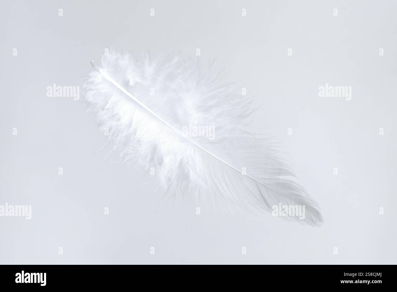 Una bella piuma soffice isolata sul bianco Foto Stock