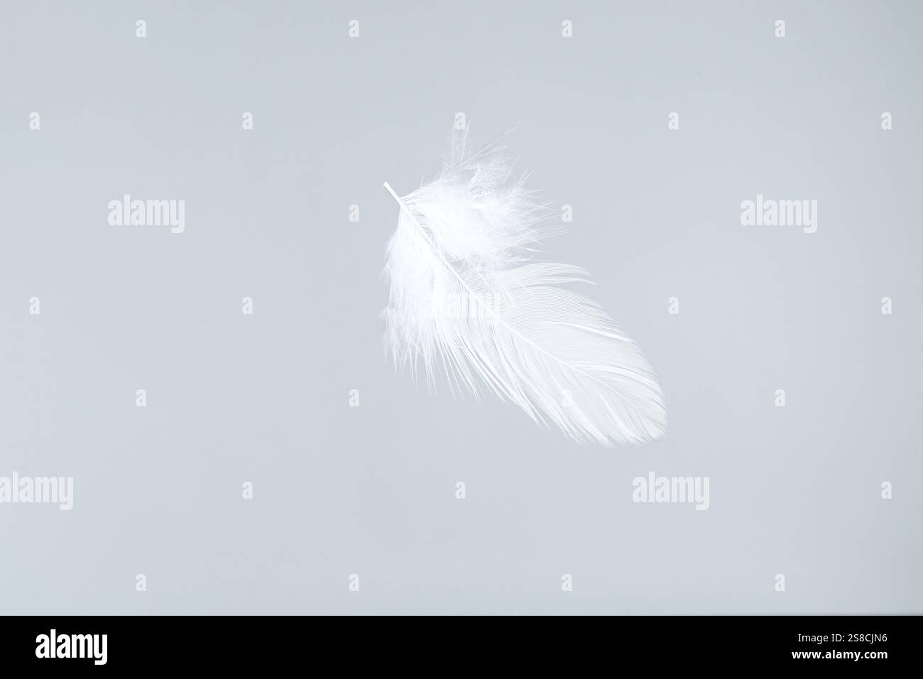 Una bella piuma soffice isolata sul bianco Foto Stock