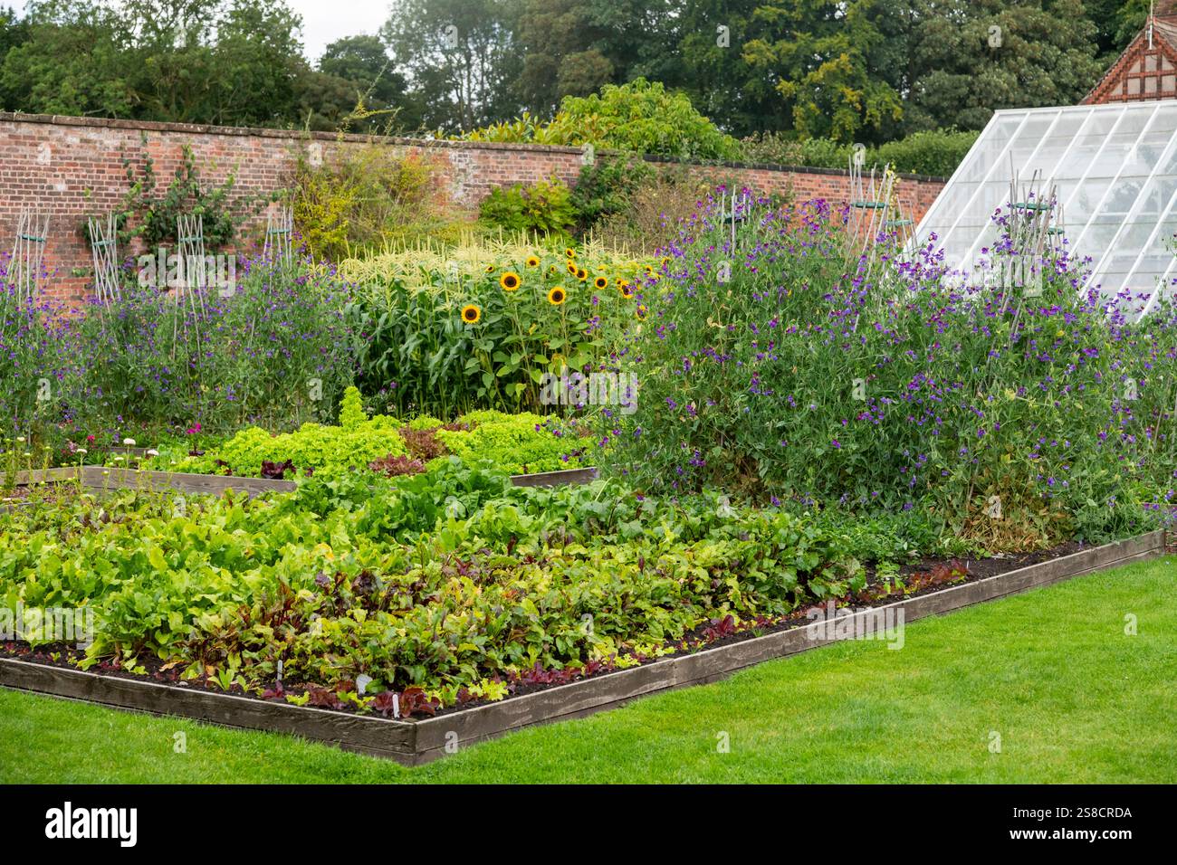 Giardino recintato all'Arley Hall and Gardens nel Cheshire, Inghilterra. Foto Stock
