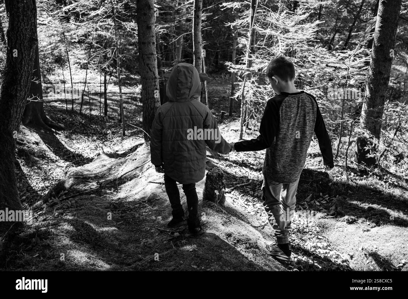 Due bambini, un fratello e una sorella, camminano mano nella mano lungo un sentiero sterrato in una foresta baciata dal sole. Stanno godendo di una tranquilla avventura all'aria aperta. Foto Stock